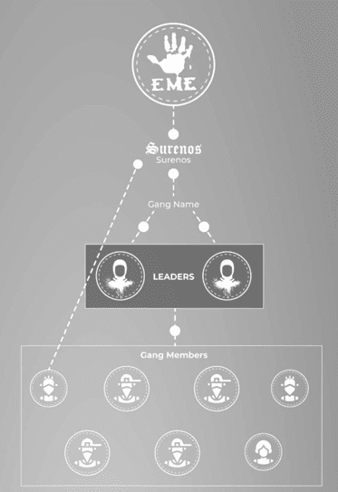 What to do about gangs chart.