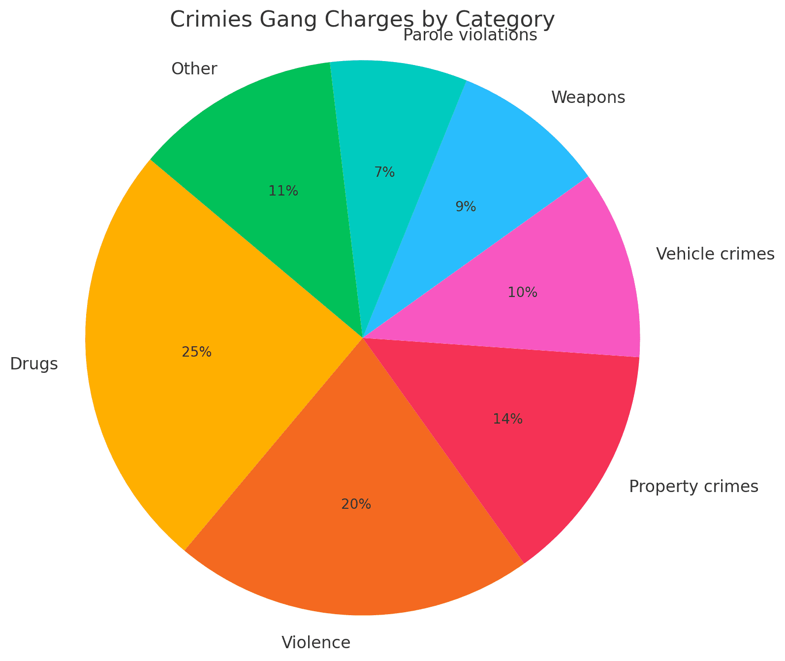 Pie chart of gang charges