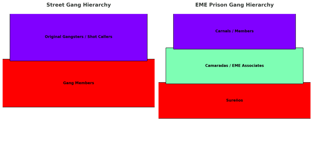 Roles in gangs street and prison